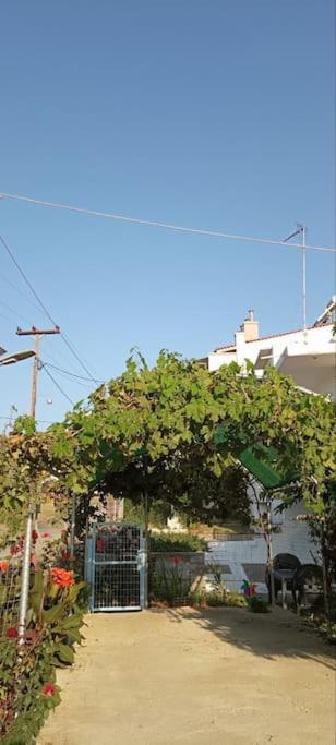 Вилла Pomegranate Seaside Corner Фанарион Экстерьер фото