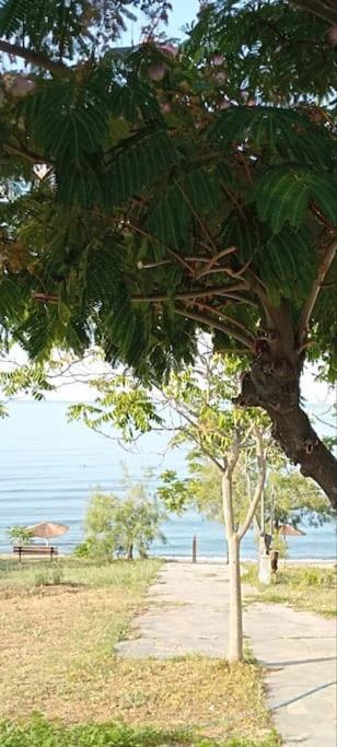 Вилла Pomegranate Seaside Corner Фанарион Экстерьер фото
