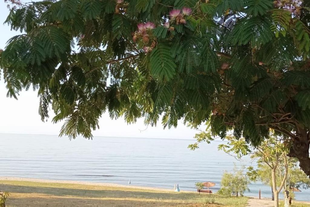 Вилла Pomegranate Seaside Corner Фанарион Экстерьер фото